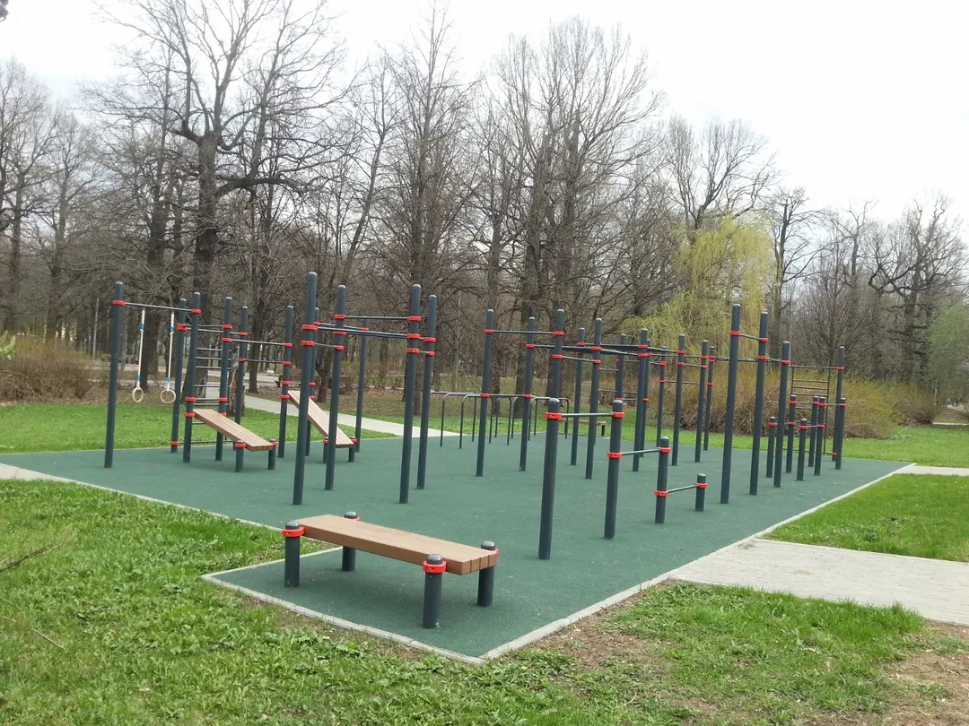 Sbarra per trazioni presso Calisthenics Park at Ботаническая улица, Москва – foto 1 di 4