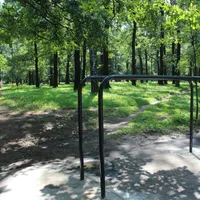 Calisthenics Park at Ленинский проспект, Химки - thumbnail 2