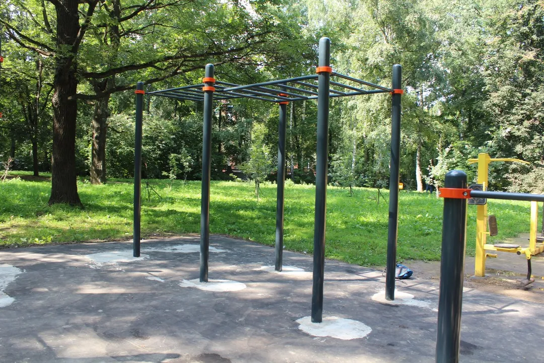 Air Skier at Calisthenics Park at Ленинский проспект, Химки – photo 5 of 5