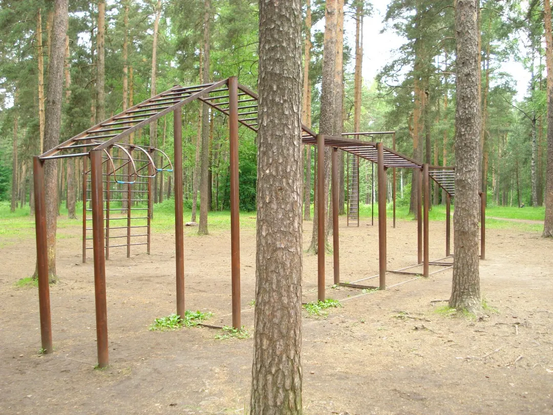 Parallel Gym Bars at Calisthenics Park at проспект Тореза, Санкт-Петербург – photo 2 of 4