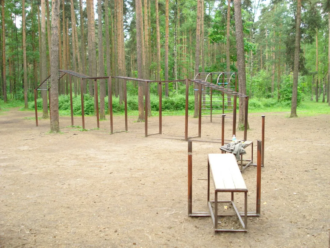 Monkey Bars at Calisthenics Park at проспект Тореза, Санкт-Петербург – photo 3 of 4