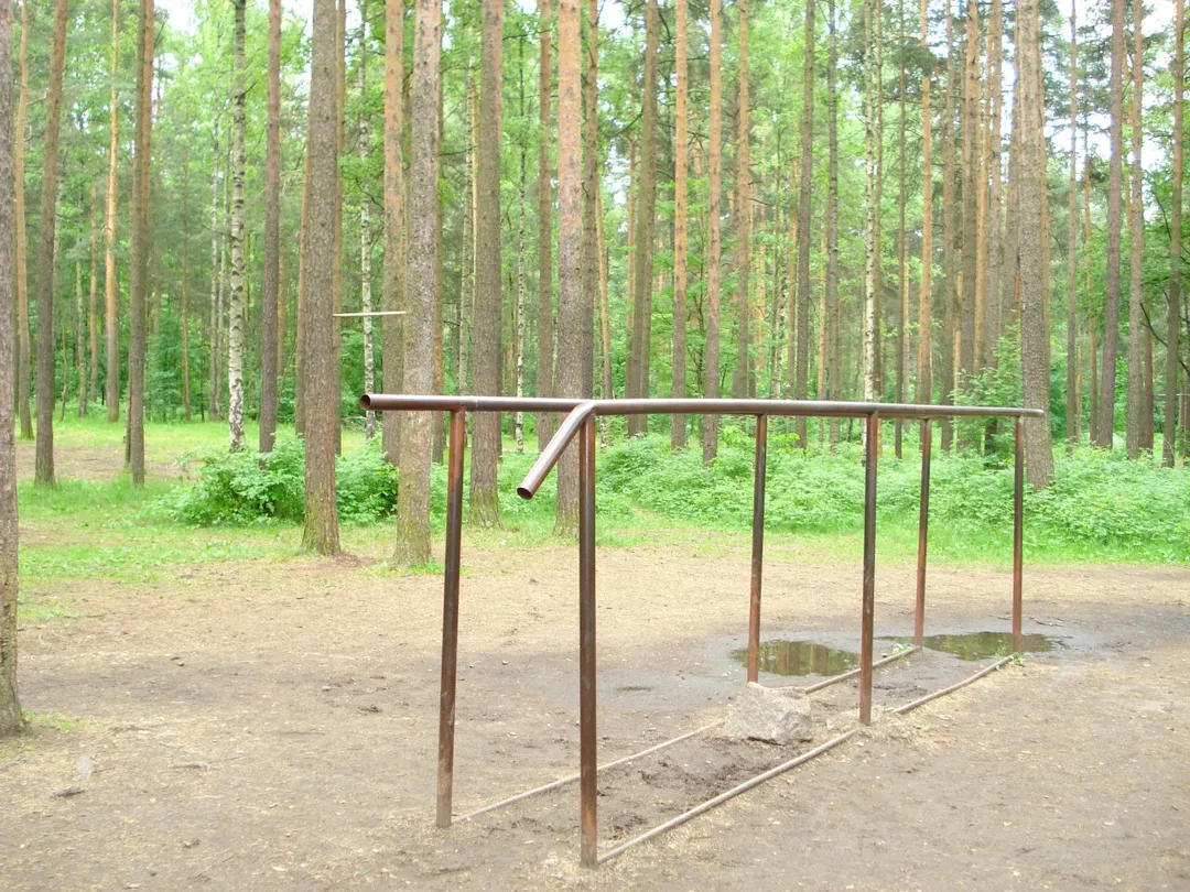 Pull Up Bar at Calisthenics Park at проспект Тореза, Санкт-Петербург – photo 1 of 4