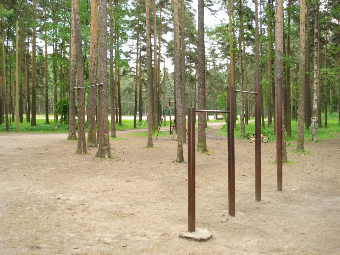 Wall Bars at Calisthenics Park at проспект Тореза, Санкт-Петербург – photo 4 of 4