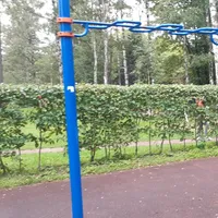 Calisthenics Park at Кузнецовская улица, Санкт-Петербург - thumbnail 9