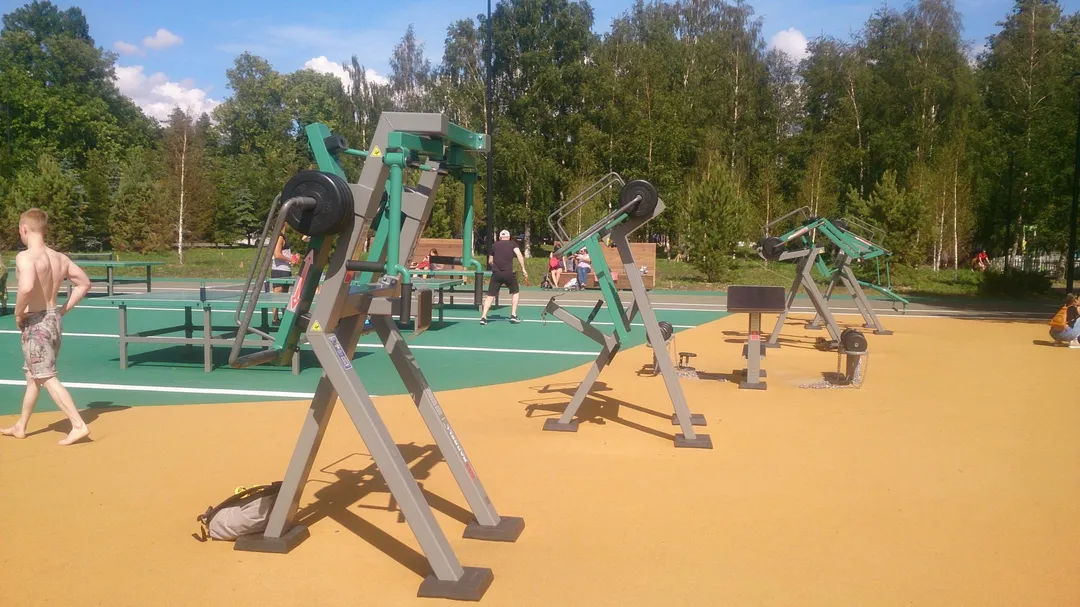 Monkey Bars at Calisthenics Park at Южная дорога, Санкт-Петербург – photo 3 of 6