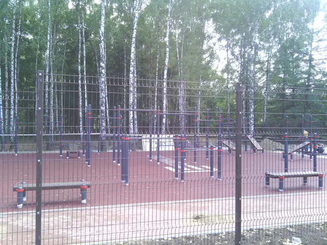 Calisthenics Park at Чайка, городской округ Рязань