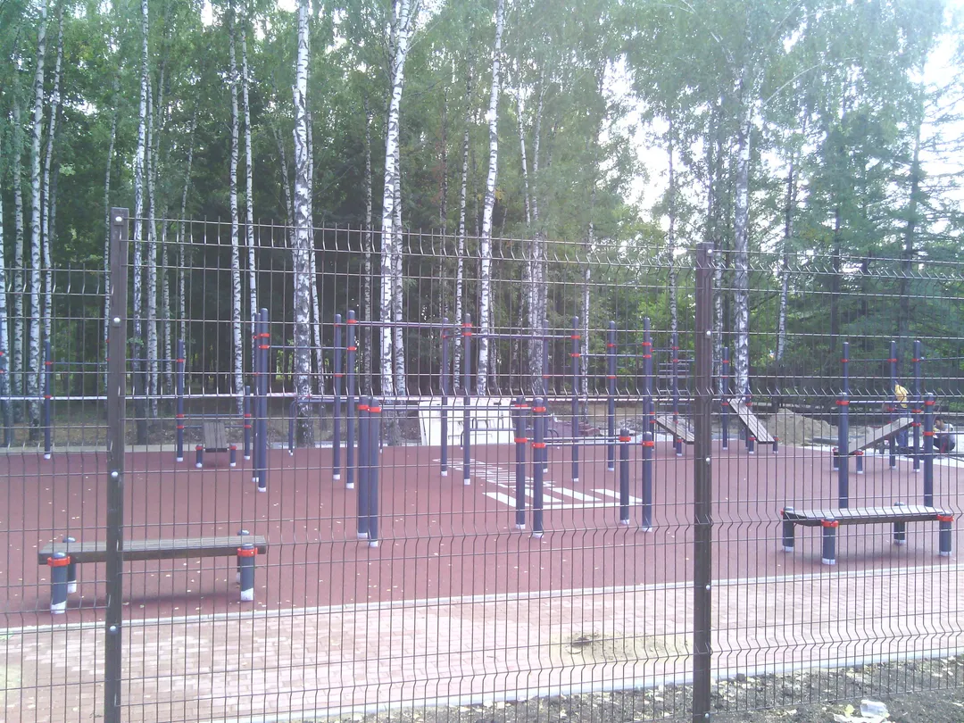 Pull Up Bar at Calisthenics Park at Чайка, городской округ Рязань – photo 1 of 8