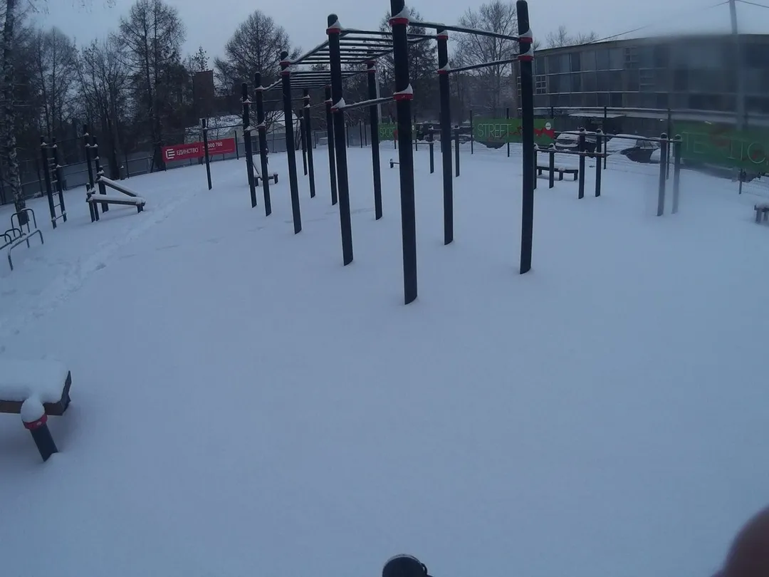 Parallel Gym Bars at Calisthenics Park at Чайка, городской округ Рязань – photo 7 of 8