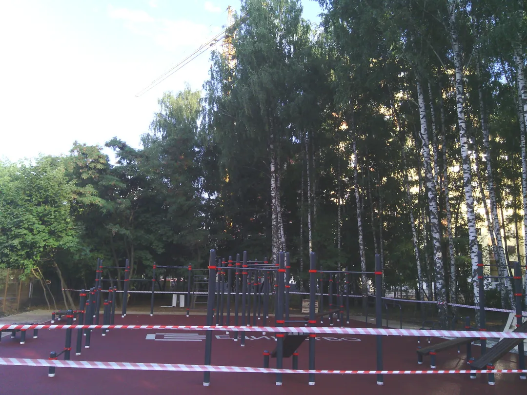 Push Up Bar at Calisthenics Park at Чайка, городской округ Рязань – photo 5 of 8