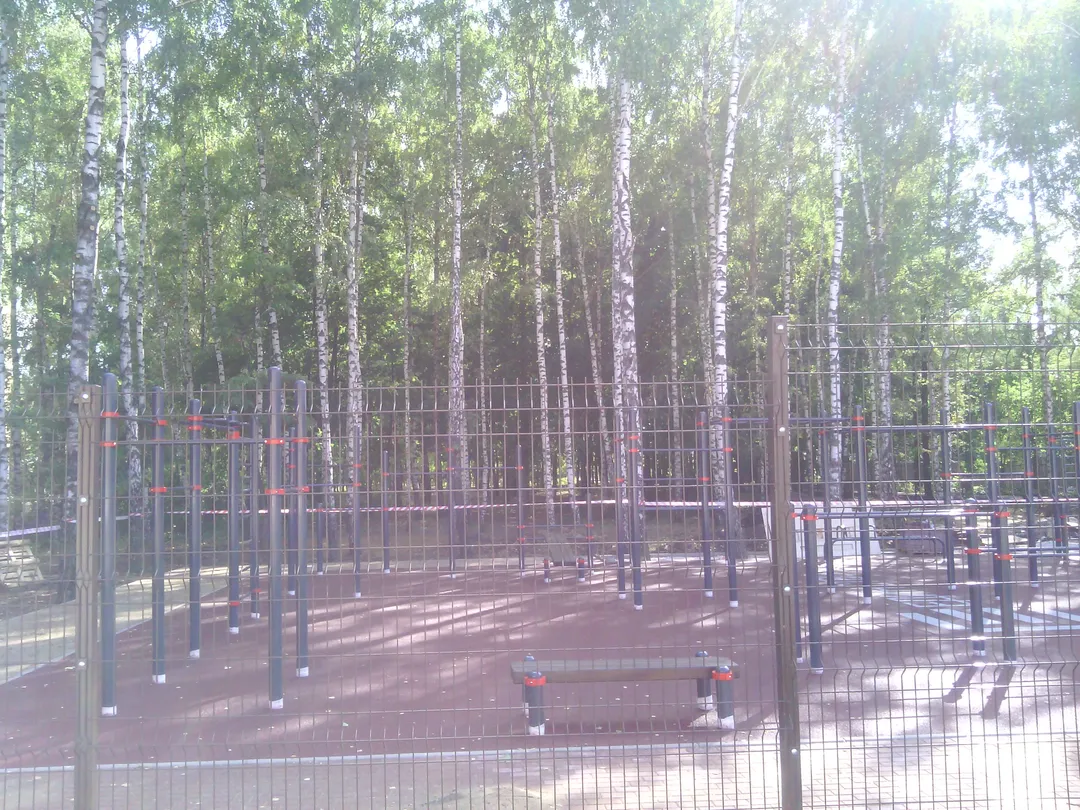 Monkey Bars at Calisthenics Park at Чайка, городской округ Рязань – photo 3 of 8