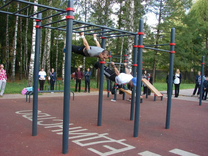 Monkey Bars at Calisthenics Park at Чайка, городской округ Рязань – photo 8 of 8