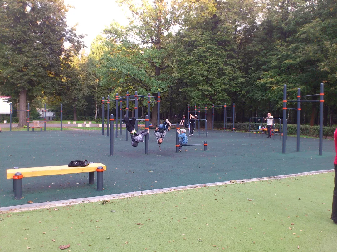 Wall Bars at Calisthenics Park at Народный проспект, Москва – photo 5 of 6