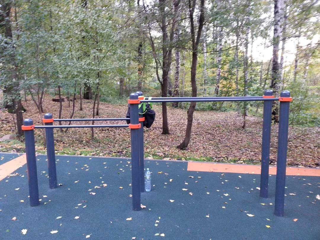 Parallel Gym Bars at Calisthenics Park at Череповецкая улица, Москва – photo 3 of 9