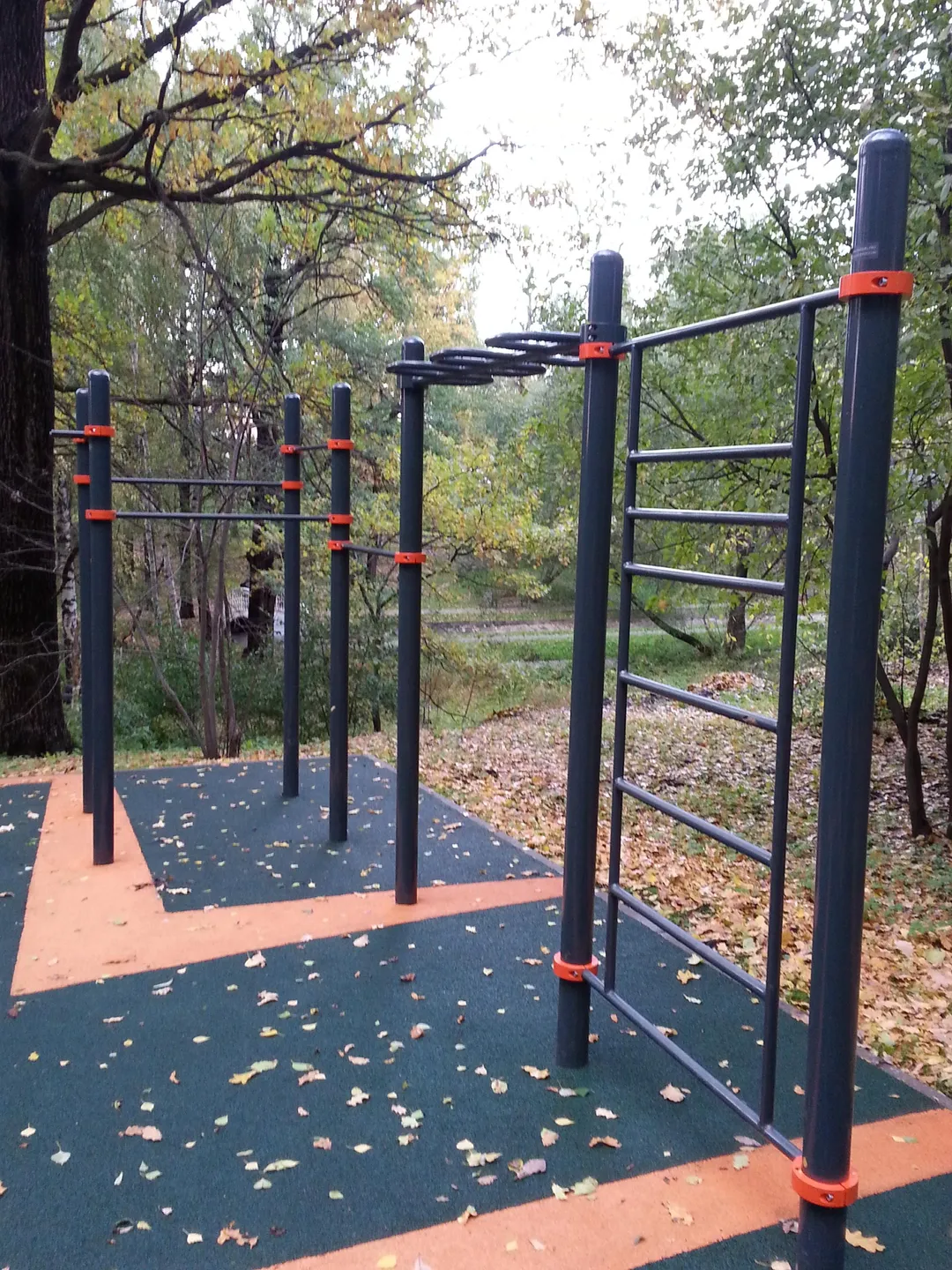 Parallel Gym Bars at Calisthenics Park at Череповецкая улица, Москва – photo 9 of 9