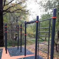 Calisthenics Park at Череповецкая улица, Москва - thumbnail 9