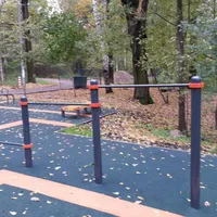 Calisthenics Park at Череповецкая улица, Москва - thumbnail 8