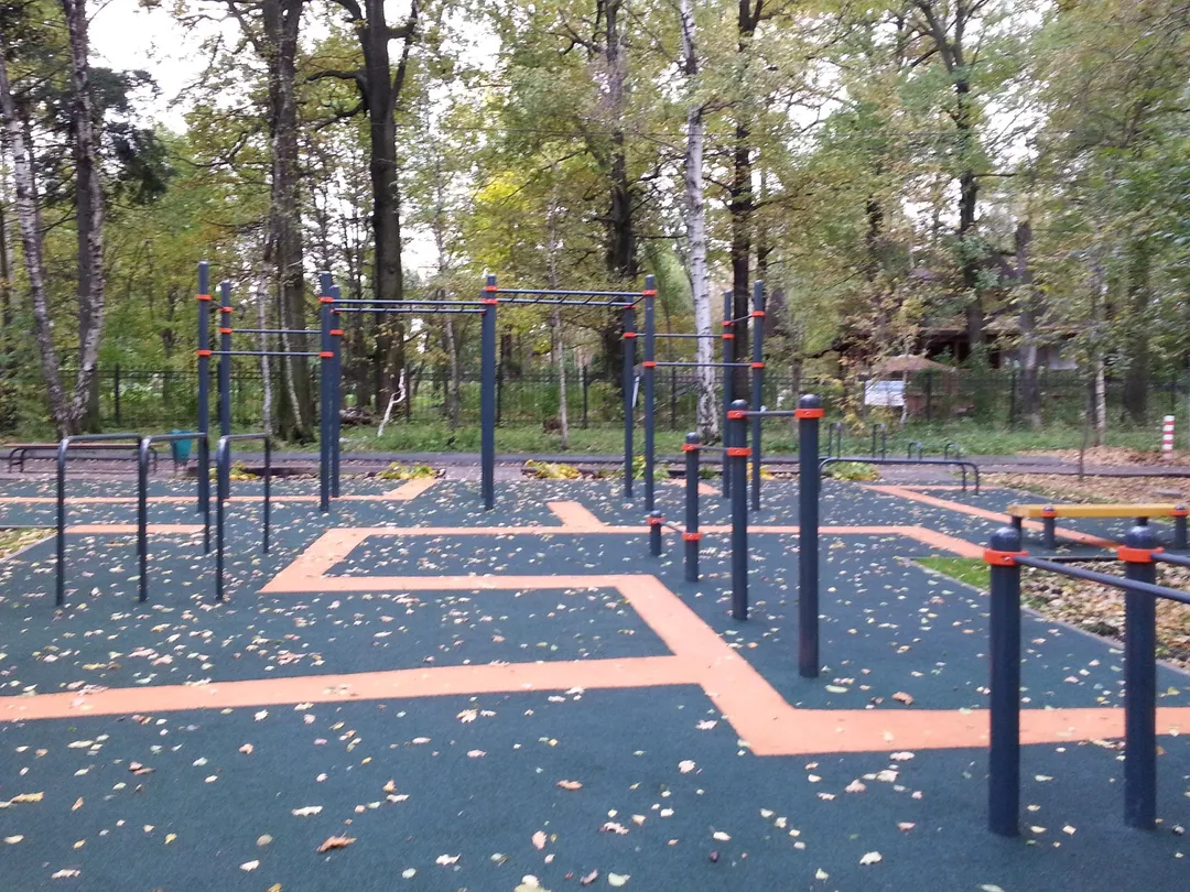 Wall Bars at Calisthenics Park at Череповецкая улица, Москва – photo 5 of 9