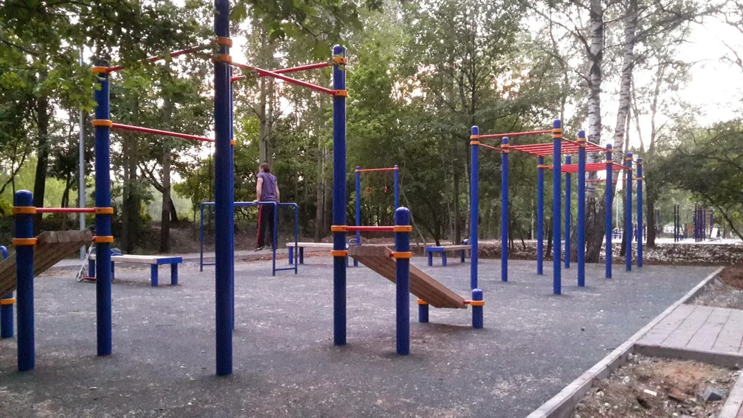 Pull Up Bar at Calisthenics Park at Молодёжная улица, Долгопрудный – photo 1 of 2