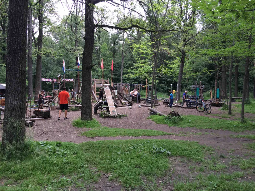 Monkey Bars at Calisthenics Park at Воркаут Тимирязевский, Москва – photo 3 of 12