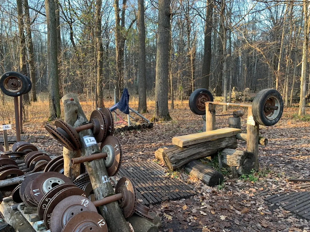 Abs Bench at Calisthenics Park at Воркаут Тимирязевский, Москва – photo 12 of 12
