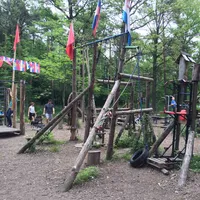 Calisthenics Park at Воркаут Тимирязевский, Москва - thumbnail 6