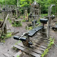 Calisthenics Park at Воркаут Тимирязевский, Москва - thumbnail 11
