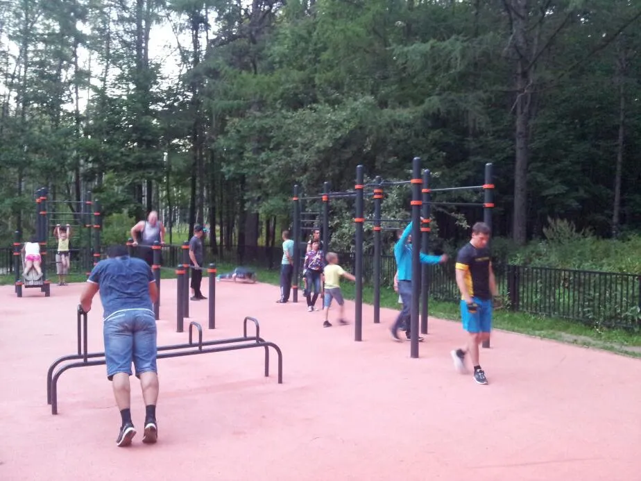 Parallel Gym Bars at Calisthenics Park at Палисадная улица, Москва – photo 2 of 2