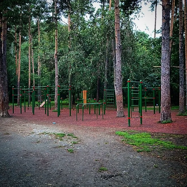 Pull Up Bar at Calisthenics Park at улица Зелёная Роща, Екатеринбург – photo 1 of 1