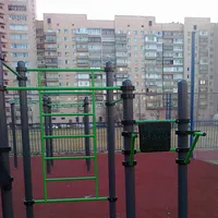 Calisthenics Park at улица Кораблестроителей, Санкт-Петербург - thumbnail 7