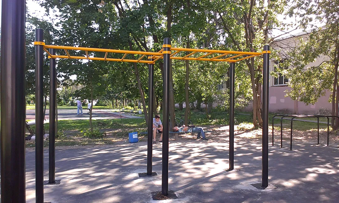 Monkey Bars at Calisthenics Park at Спортивный комплекс «Вымпел», Королёв – photo 3 of 6