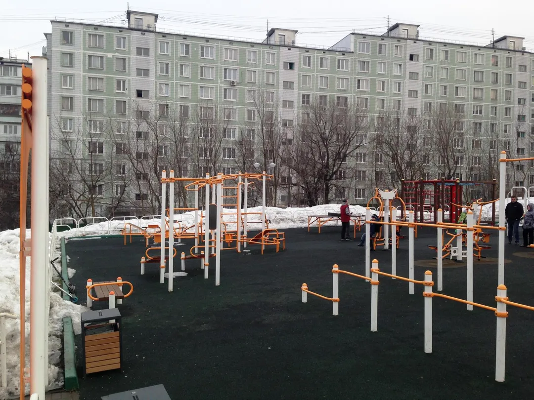 Monkey Bars at Calisthenics Park at улица Рокотова, Москва – photo 3 of 3
