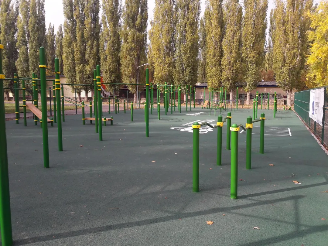 Push Up Bar at Calisthenics Park at улица Строителей, городской округ Курчатов – photo 2 of 4