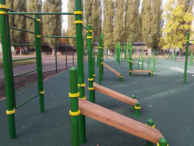 Calisthenics Park at улица Строителей, городской округ Курчатов