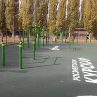 Calisthenics Park at улица Строителей, городской округ Курчатов - thumbnail 4