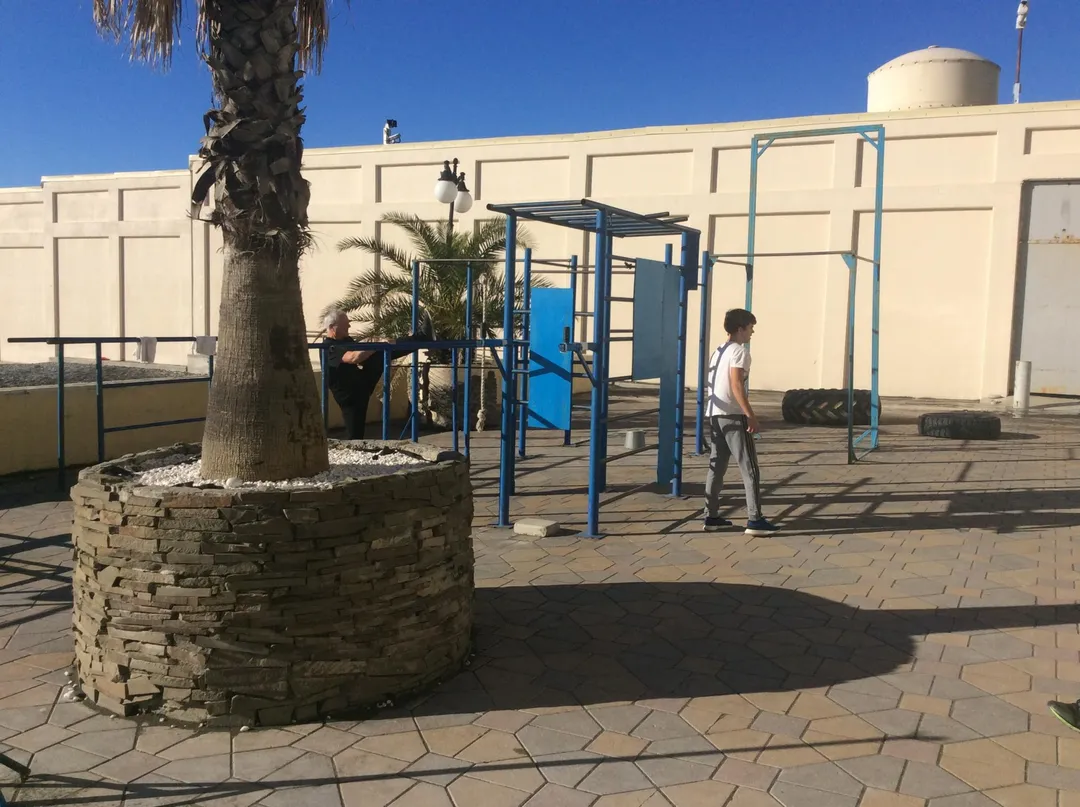Parallele presso Calisthenics Park at Курортный проспект, Сочи – foto 2 di 2