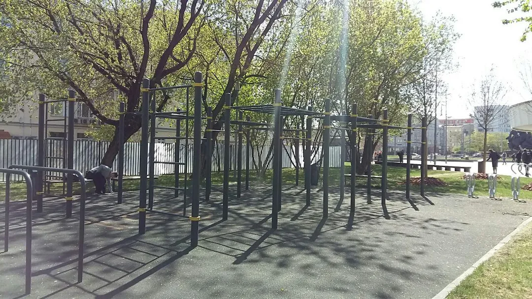 Barra de Dominadas en Calisthenics Park at улица Пресненский Вал, Москва – foto 1 de 4