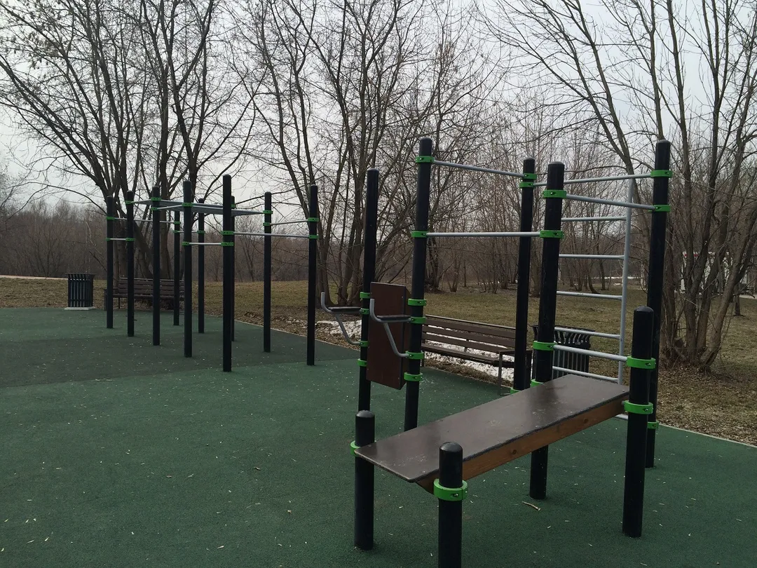 Monkey Bars la Calisthenics Park at Каширское шоссе, Москва – fotografia 3 din 5