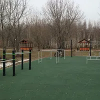 Calisthenics Park at Каширское шоссе, Москва - thumbnail 5