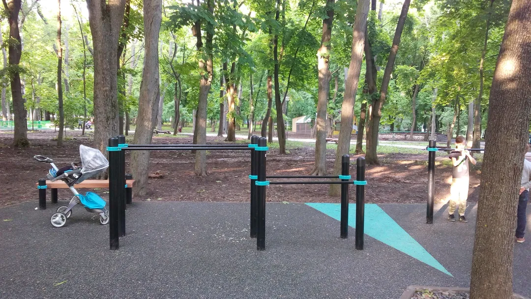 Bară de flotări la Calisthenics Park at Театральная площадь, Ростов-на-Дону – fotografia 12 din 13