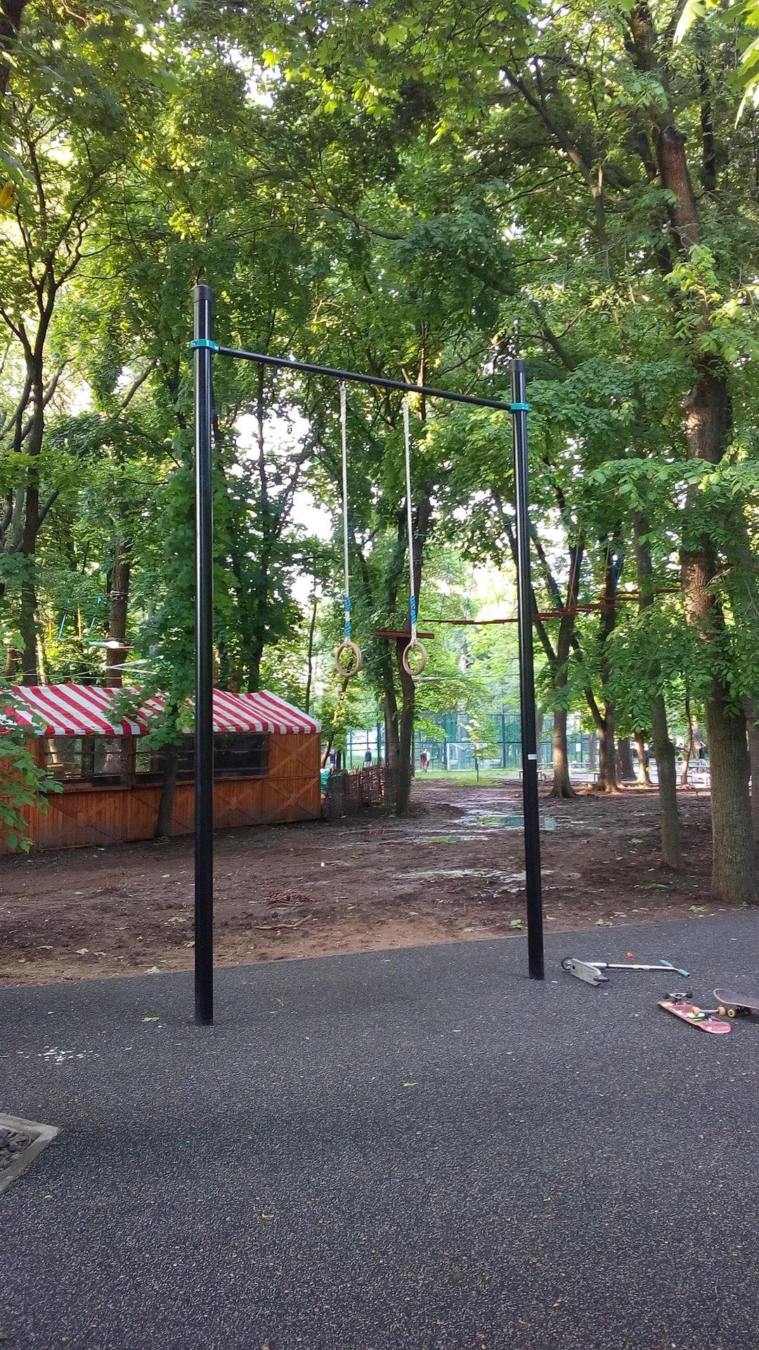 Spalier la Calisthenics Park at Театральная площадь, Ростов-на-Дону – fotografia 10 din 13