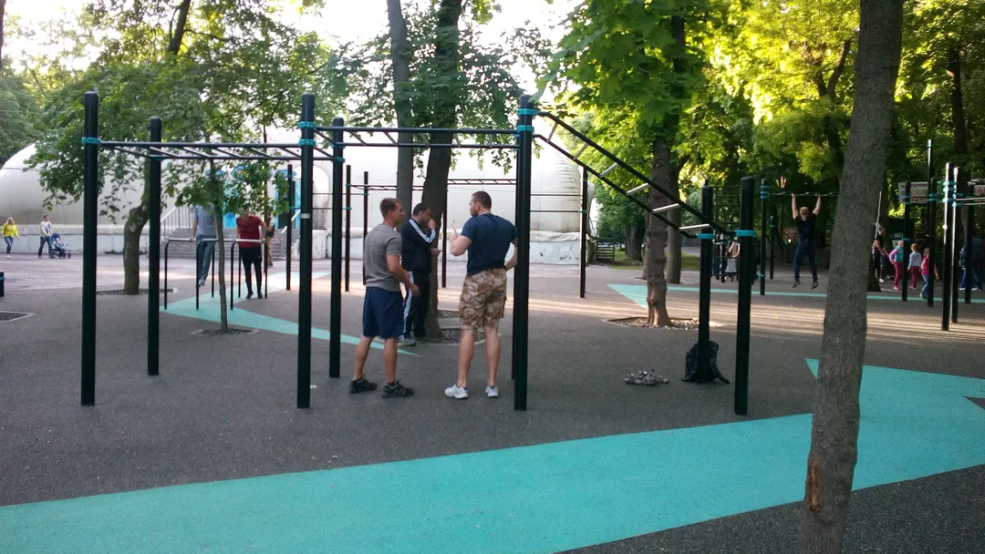 Monkey Bars la Calisthenics Park at Театральная площадь, Ростов-на-Дону – fotografia 3 din 13