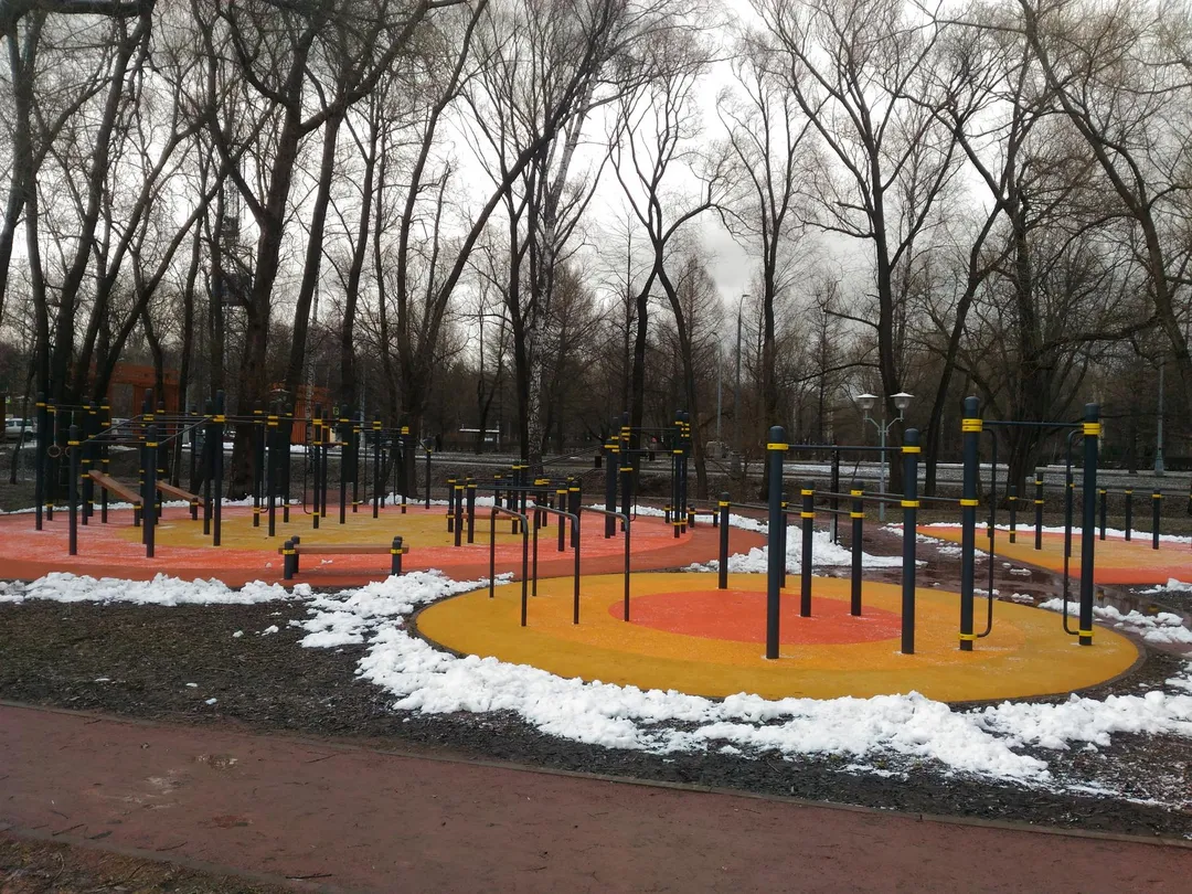 Monkey Bars at Calisthenics Park at аллея Жемчуговой, Москва – photo 3 of 4