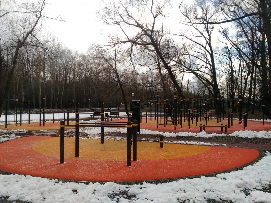 Parallel Gym Bars at Calisthenics Park at аллея Жемчуговой, Москва – photo 2 of 4