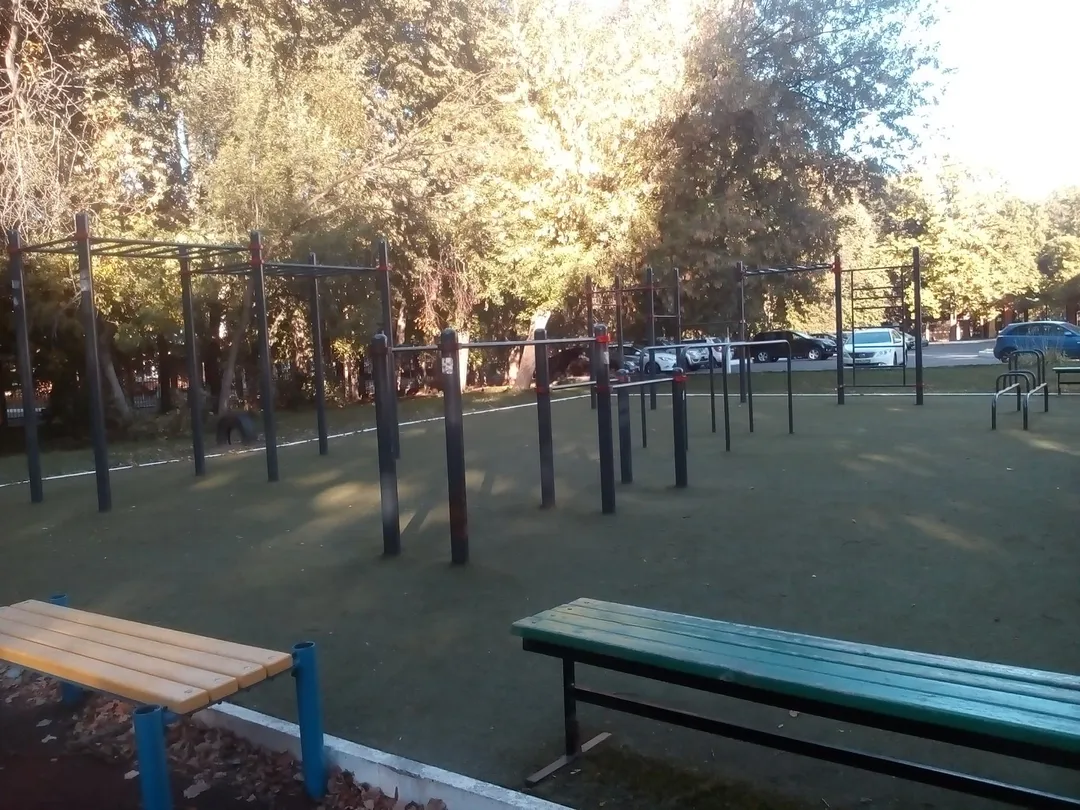Parallel Gym Bars at Calisthenics Park at улица Чайковского, Ступино – photo 2 of 2