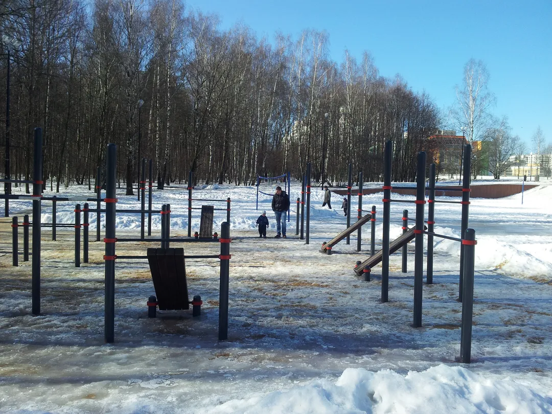 Parallel Gym Bars at Calisthenics Park at Воркаут, Москва – photo 2 of 7