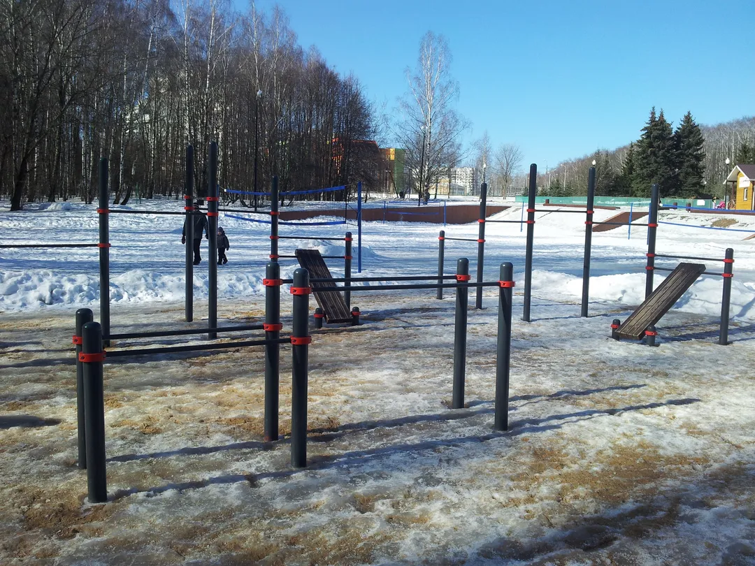 Monkey Bars at Calisthenics Park at Воркаут, Москва – photo 3 of 7