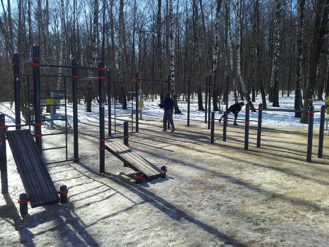 Wall Bars at Calisthenics Park at Воркаут, Москва – photo 4 of 7