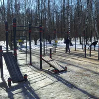 Calisthenics Park at Воркаут, Москва - thumbnail 4