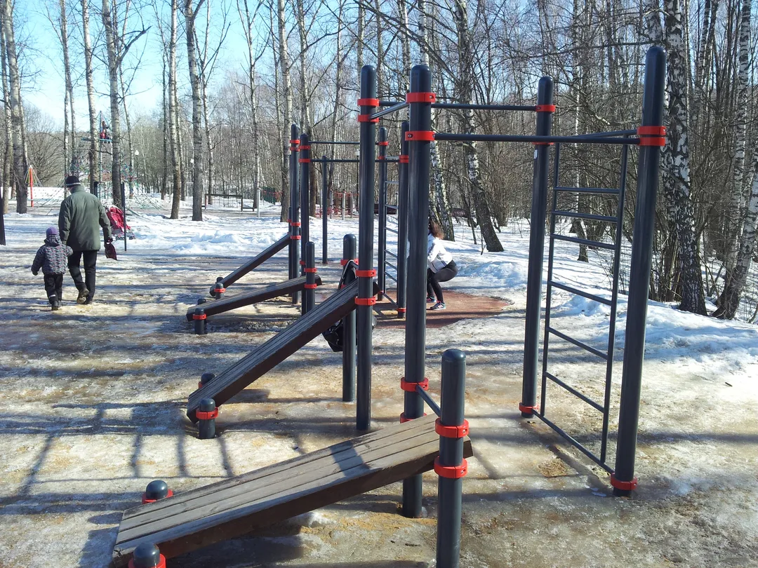 Pull Up Bar at Calisthenics Park at Воркаут, Москва – photo 6 of 7