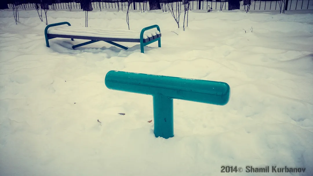 Anillas de Gimnasia en Calisthenics Park at Сад им. Павлика Морозова, Екатеринбург – foto 5 de 11